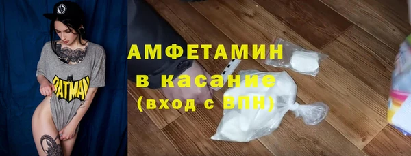прущие грибы Алзамай
