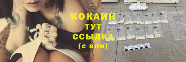 шишки Абаза