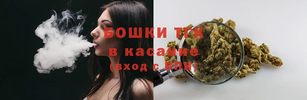 шишки Абаза