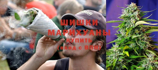 шишки Абаза