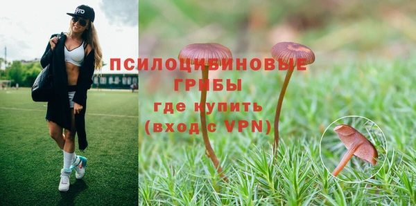 прущие грибы Алзамай
