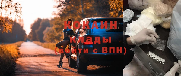 шишки Абаза