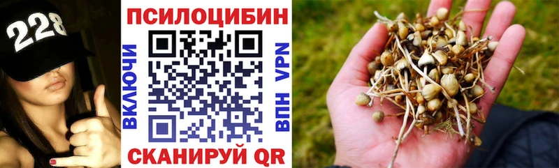 Псилоцибиновые грибы Magic Shrooms  Шадринск 